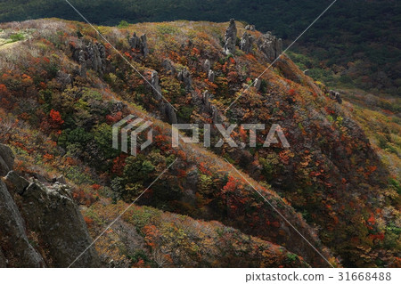Youngsil rock, Mt. Halla, Jeju Island Youngsil rock, Mt. Halla, Jeju Island 31668488
