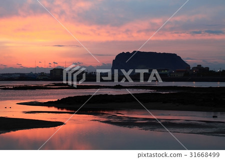 濟州島西歸浦市城山邑Seongsan Ilchulbong 濟州島西歸浦市城山邑Seongsan Ilchulbong 31668499