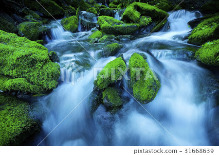 江原道平昌縣Jangjeon Valley 江原道平昌縣Jangjeon Valley 31668639