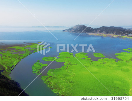 順天灣，順天市，全南 31668704