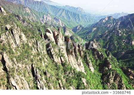 七兄弟,Seoraksan,束草,江原道 七兄弟,Seoraksan,束草,江原道 31668746