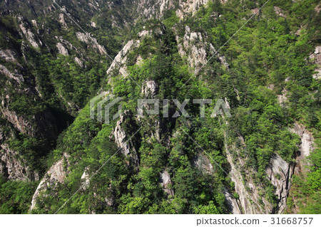 江原道雪嶽山 31668757