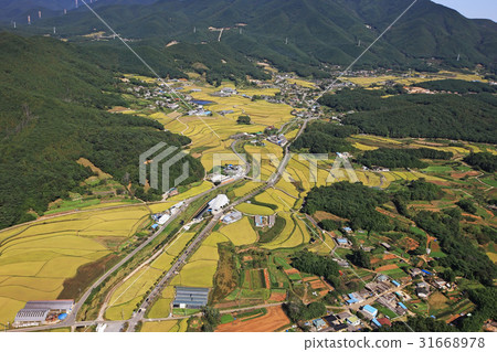 蔚山Ulju縣 31668978