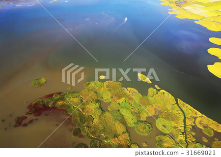 Suncheon Bay, Suncheon City, Jeonnam 31669021