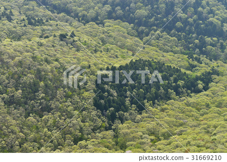錦山,南海,慶南 錦山,南海,慶南 31669210