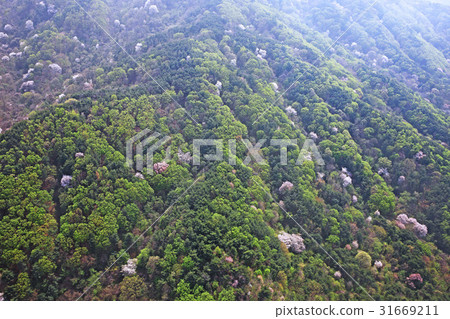 錦山,南海,慶南 錦山,南海,慶南 31669211