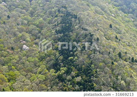 錦山,南海,慶南 錦山,南海,慶南 31669213