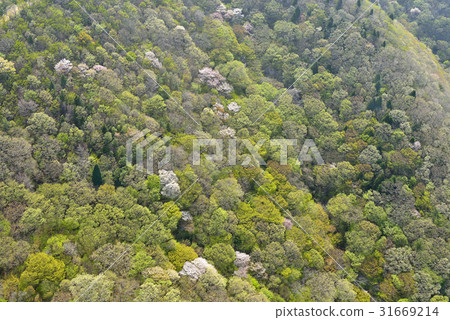 錦山,南海,慶南 錦山,南海,慶南 31669214
