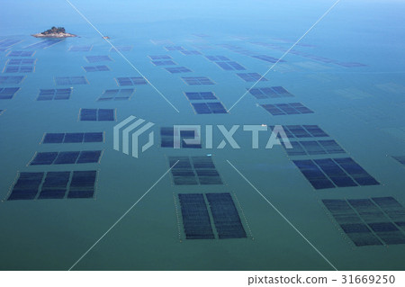 忠南郡保寧市金農場 忠南郡保寧市金農場 31669250