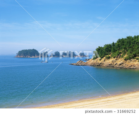 忠南縣泰安郡泰安海岸國家公園 31669252