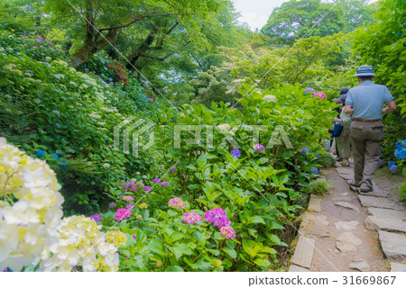 Yata Temple 31669867