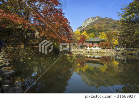Ssanggyeol, Baekyangsa, Baekam Mountain, Changseong County, Jeonnam 31669927