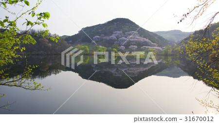 永濟，Seosan，忠南 31670012