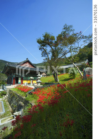 Flower pot, Daeungbojeon, Yongcheon Temple, Morak Mountain, Hampyeong, Jeonnam 31670136