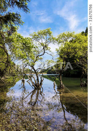 Immovable pond Immovable pond 31670766