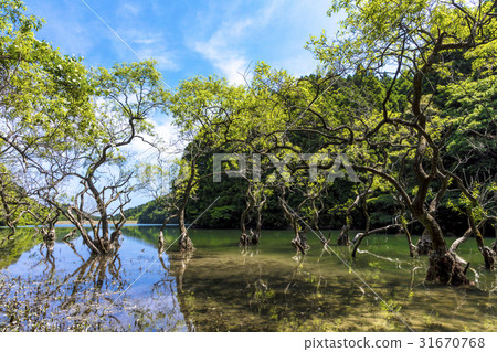 Immovable pond Immovable pond 31670768