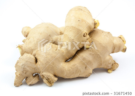 fresh ginger  isolated 31671450