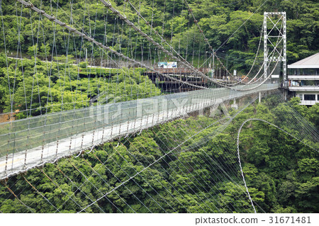 Suspension bridge of Tanze 31671481