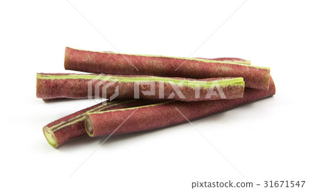 purple bean isolated 31671547