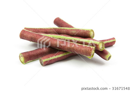 purple bean isolated 31671548