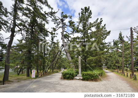 天橋立長廊天橋立石碑(京都府宮津市) 天橋立長廊天橋立石碑(京都府宮津市) 31672180