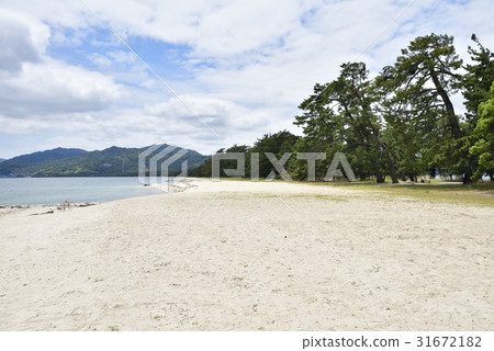 天橋立海灘(京都府宮津市) 天橋立海灘(京都府宮津市) 31672182
