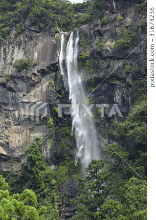 那智的瀑布 31673236