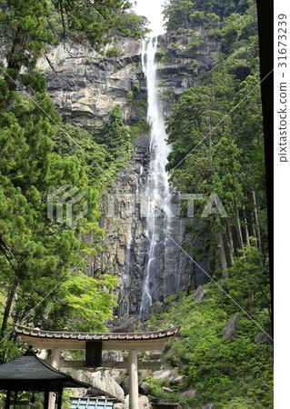 那智的瀑布 31673239
