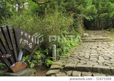 Kumano Kodo Daimonzaka 31673309