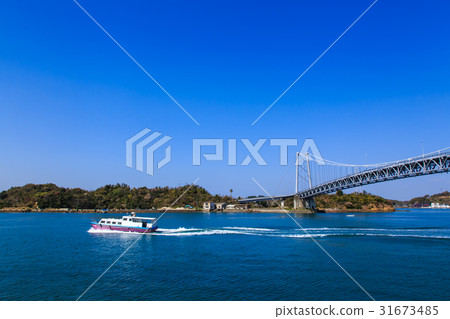 東京大學天神天草 東京大學天神天草 31673485