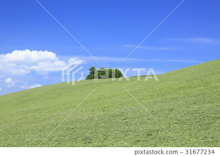 Biei-cho, Hokkaido Plain and flowing clouds 31677234