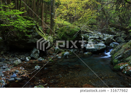 從奧米山出發 從奧米山出發 31677982
