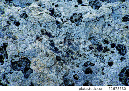 Volcanic rock, close-up of surface 31678380