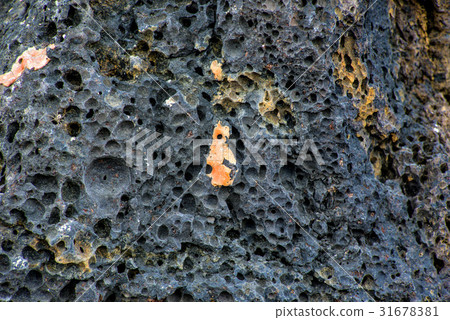 surface of a volcanic rock 31678381