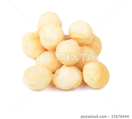 macadamia nuts isolated on white background 31678444