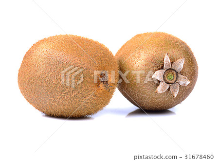 kiwi fruit isolated on white background kiwi fruit isolated on white background 31678460