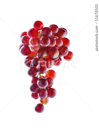grape isolated on white 31678503