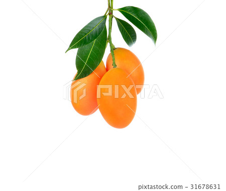 sweet Marian plum thai fruit isolated on white  31678631