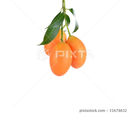 sweet Marian plum thai fruit isolated on white 31678632