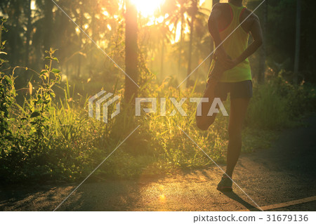 runner warming up before running at forest trail 31679136
