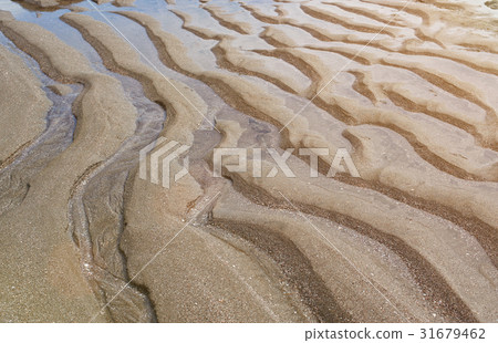 Abstract lines on beach 31679462