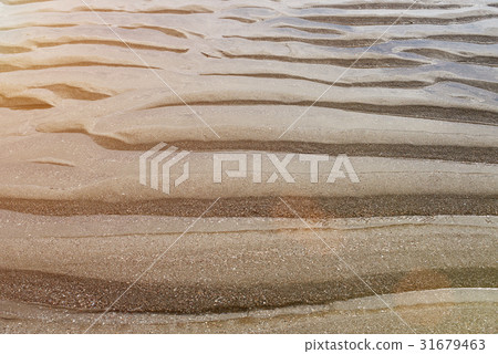 Tropical sea sand 31679463