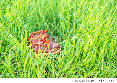 Cute little red baby shoes in green grass 31680832
