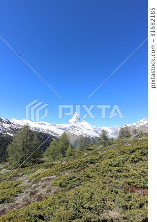 馬特宏峰7 31682185