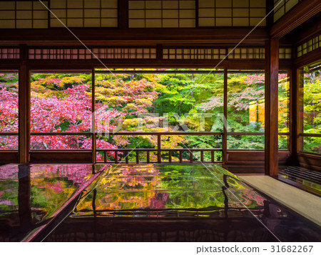 Kinufu Rurikoin 31682267