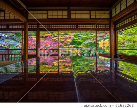 Kinufu Rurikoin Kinufu Rurikoin 31682268