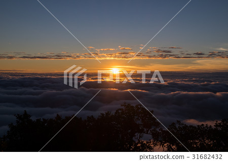 Sunrise Sunrise 31682432