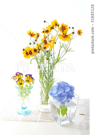 Halshagik and pansies and blue hydrangeas 31685128