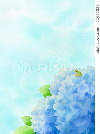 與藍色八仙花屬的雨蛙 31685828