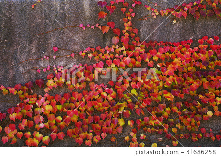 Brass crest 31686258